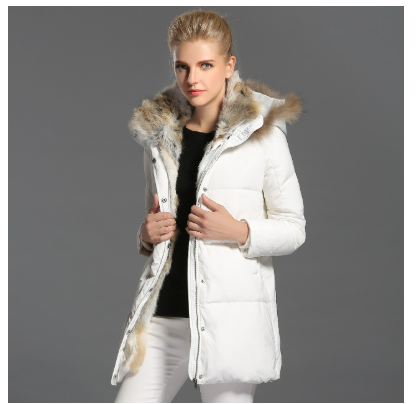 https://cdn.shopify.com/s/files/1/0822/2661/0521/files/QQ_1738915720532.png?v=1739274361