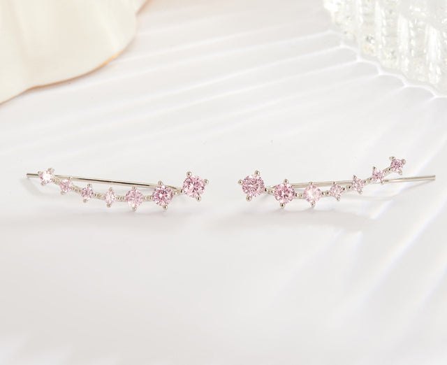 Glamour | Shiny Silver Earrings
