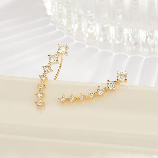 Glamour | Shiny Silver Earrings
