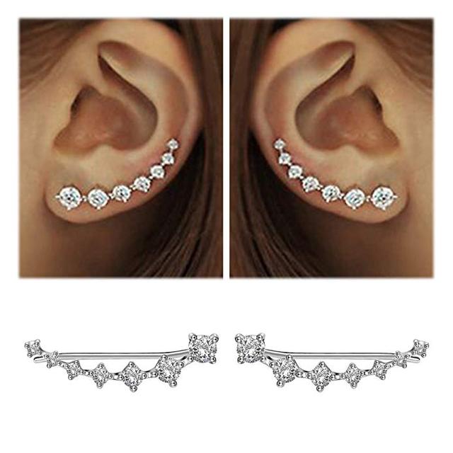 Glamour | Shiny Silver Earrings