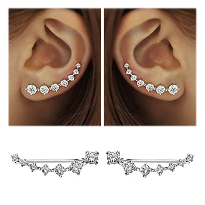 Glamour | Shiny Silver Earrings
